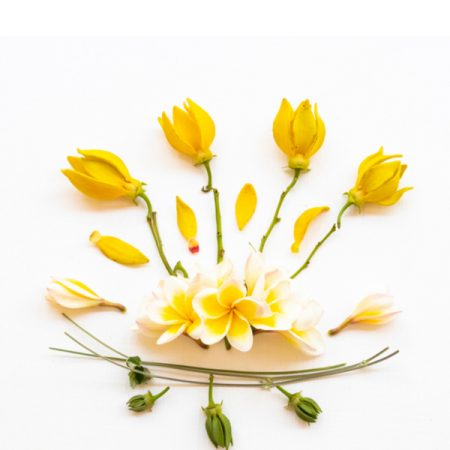 АРОМАТ ЗА СВЕЩИ / САПУНИ И ДИФУЗЕРИ  - ФРАНГИПАНИ ИЛАНГ 30мл.